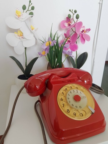 Standard telefono fisso - standard,
